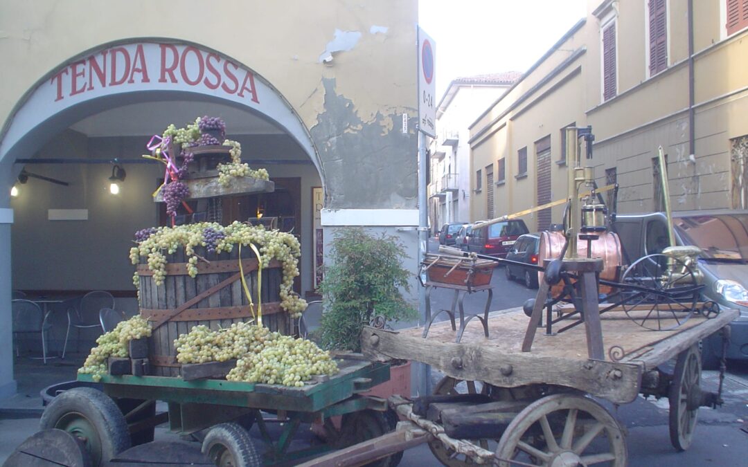 Edizione 2007